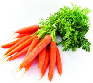 carrot